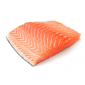 Zalmfilet met huid porties